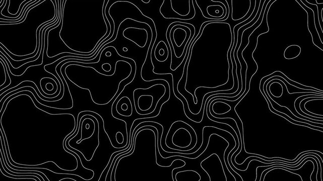 Abstract Black and White Topographic Contour Lines Animation Background with Organic Fluid Shapes, Minimal Geometric Mapping Pattern and Seamless Motion Design
