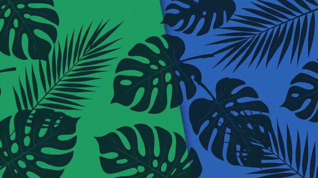 Tropical monstera leaves animation sequence featuring shifting vibrant background colors and fluid motion captured in this modern digital design video