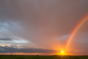 Fototapeta premium Sunset sky with a bright rainbow after a summer rain, warm golden light on green meadows