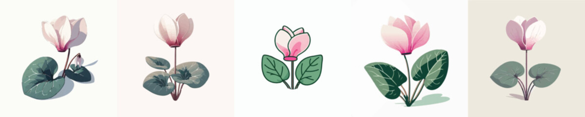 Fototapeta premium Cyclamen Flower Vector Illustration