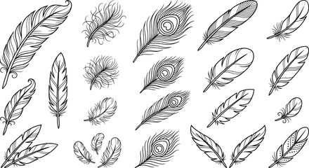 Detailed bird feather line art vector collection with peacock quills bohemian plumes and tribal sketch elements © MSTJANNATUN
