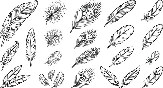 Detailed bird feather line art vector collection with peacock quills bohemian plumes and tribal sketch elements