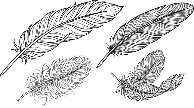 Vintage feather line art vector collection with detailed bird plumage quill pen and bohemian sketch elements