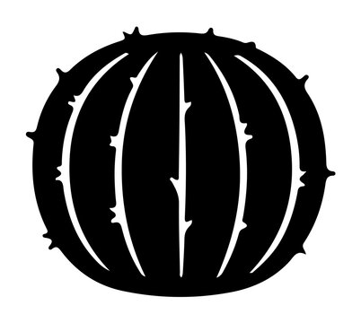 Minimalist round cactus top view silhouette vector graphic