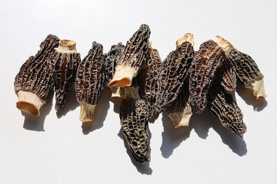Dried morel mushrooms on white background.