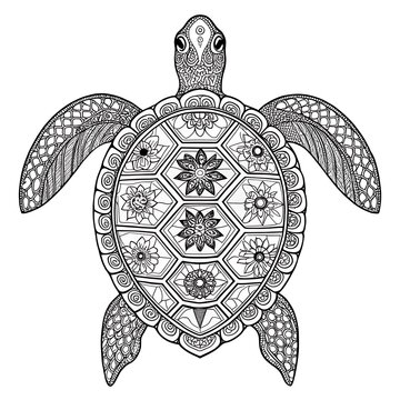 Intricate lace pattern turtle shell design illustration