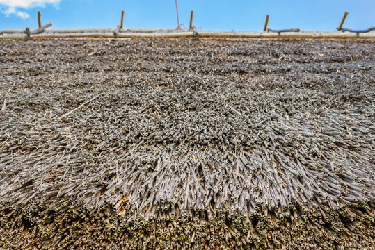 Thatched roof