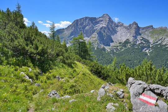 Alpine hiking trail marking way to mountain peak. Ges&auml;use National Park rocky mountain landscape with a red and white trail marker guiding along a green path