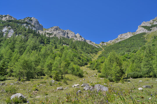 Alpine valley with lush forest and clear blue sky. Green mountain slopes and rocky peaks of Rax-Schneeberg-Group under a bright summer sky in a natural landscape