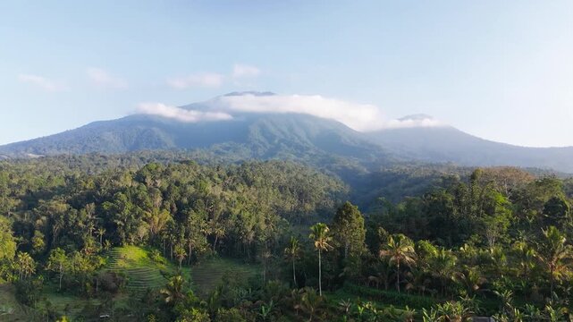 Aerial drone video of traditional rice terraces, lush tropical forest, and Mount Batukaru mountain with clouds in Tabanan Bali Indonesia. Morning light over rural landscape