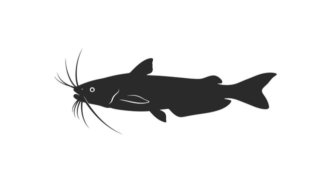Black catfish silhouette on white background with illustration freshwater seafood animal icon