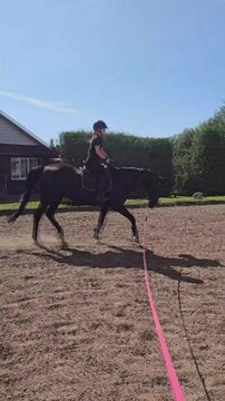 Rider trains horse in an outdoor arena on a sunny day
