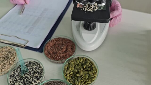 Exploring seeds through a microscope in a laboratory setting