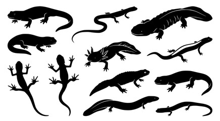 Fototapeta premium Assorted lizard and amphibian silhouettes featuring various reptiles and salamanders isolated on transparent background for scientific illustration