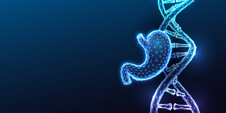 DNA Double Helix Stomach Gastric Cancer Genetics Crohn Glowing Blue Polygonal Vector
