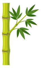 Naklejka premium Green bamboo stalk with leaves isolated on white background