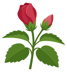 Obraz premium Hibiscus plant branch with red buds and green leaves vector illustration isolated on white background