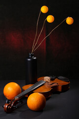 Still Life with colored balloons, two oranges, and a violin © i_valentin