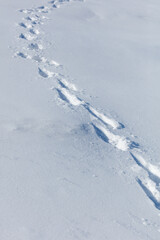 Fototapeta premium Snowy path winds across untouched white landscape. Footprints trail across smooth, pristine snow surface.
