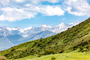 Fototapeta premium Lush green hills slope toward distant snow-capped peaks