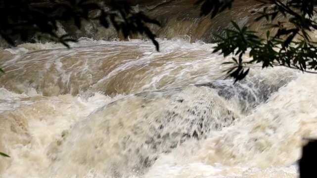 Raging Rapids: A powerful river cascades over rocks, creating churning rapids and white water, framed by lush green foliage.