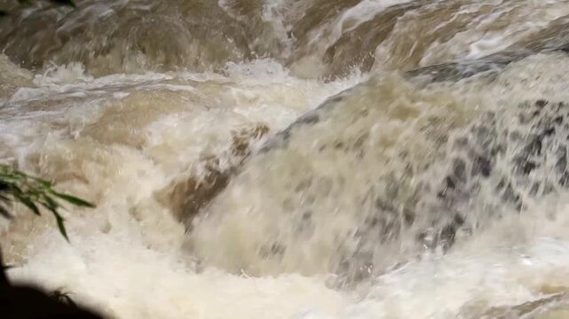 Raging River Rapids: A powerful torrent of muddy water crashes and churns over submerged rocks, creating a dynamic display of nature's raw force.
