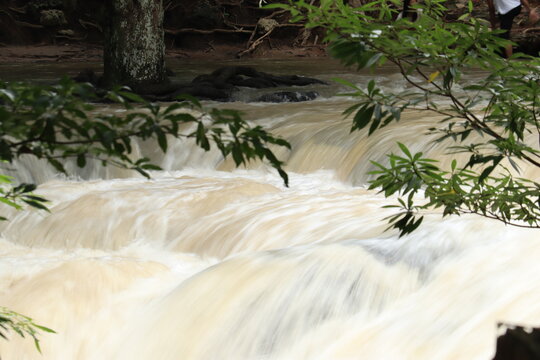 Muddy River Cascade: A powerful cascade of muddy water flows over rocks in a natural setting, framed by lush green foliage.