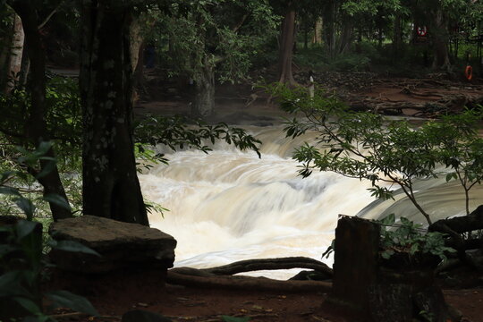 Gushing Waterfall in Lush Forest: A powerful waterfall cascades down rocks, creating a churning white expanse of water surrounded by dense, verdant forest foliage and ancient trees.