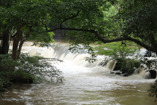 Waterfall Amidst Lush Forest: A powerful waterfall cascades over rocks, surrounded by dense green foliage and ancient trees, creating a serene and natural spectacle.