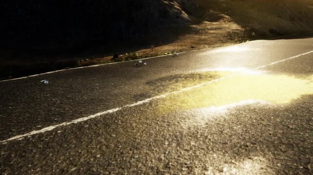 The road shows sun reflecting on a wet surface from previous rain. Surrounding areas are dry, and the landscape is simple with some grass and dirt.