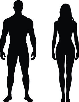 Full body black silhouettes of a standing man and a woman, front view, isolated on a white background, representing human anatomy, gender differences, or a couple standing together