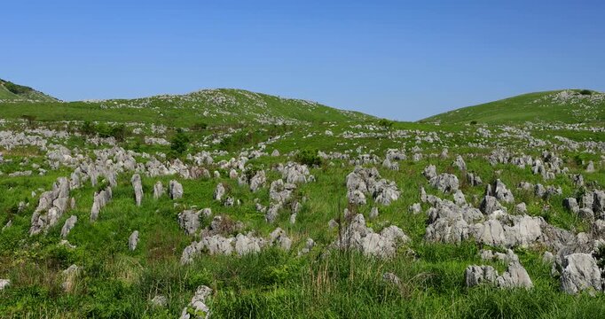 秋吉台のカルスト台地