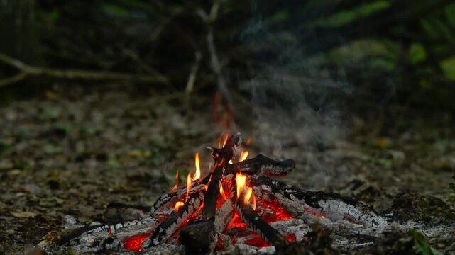 Seamless loop of a campfire burning in the woods close up. Seamless video loop of a cozy campfire burning actively on the forest floor, ideal for nature relaxation and background video editing.