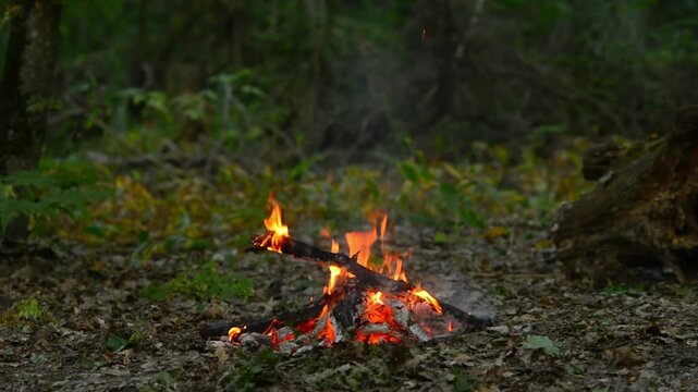 Seamless loop of a small campfire burning in the wild forest. Seamless background video loop of a small campfire burning quietly in the wild forest, perfect for meditation, relaxation