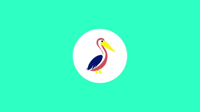 Pelican Bird Icon Animation Displayed on Green Background for Coastal Wildlife Nature Sea Birds and Environmental Concept