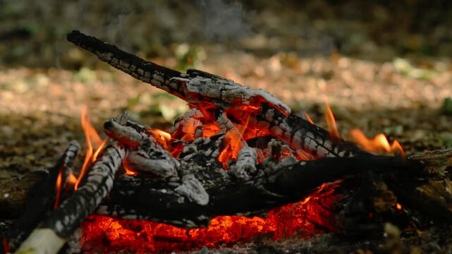 Seamless loop of hot glowing embers and charcoal close up. Seamless macro video loop capturing hot glowing wood embers and charcoal, perfect for ASMR relaxation and continuous video backgrounds.