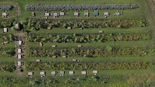Italian Agritourism Farm with Picnic Tables and Flower Fields