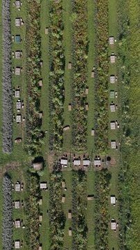 Picnic Tables Among Flower Fields at Italian Agritourism Farm