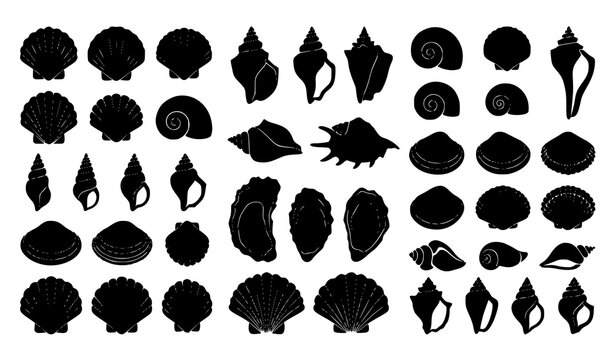 Black seashell silhouette vector collection with scallop spiral conch clam oyster and marine shell shapes for design