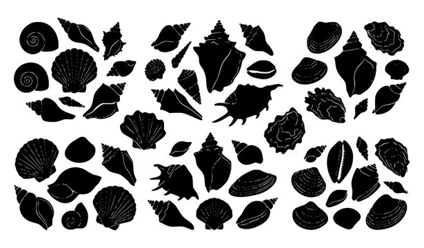 Minimal black seashell icon set with spiral conch scallop clam oyster and coastal marine silhouette vector designs