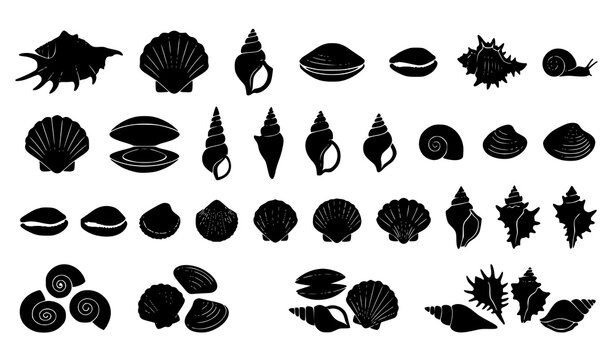 Assorted seashell black silhouette vector collection featuring spiral conch scallop clam oyster and coastal marine icons