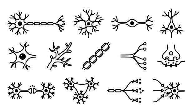 Modern neuron anatomy icon set with dendrites soma nucleus axon myelin synapse and neural connection vector symbols