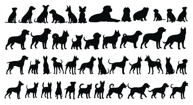 Set of diverse dog breed silhouettes in standing and sitting poses