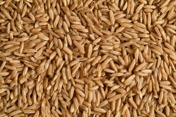 Fototapeta premium Brown rice scattered on a flat surface in a kitchen setting