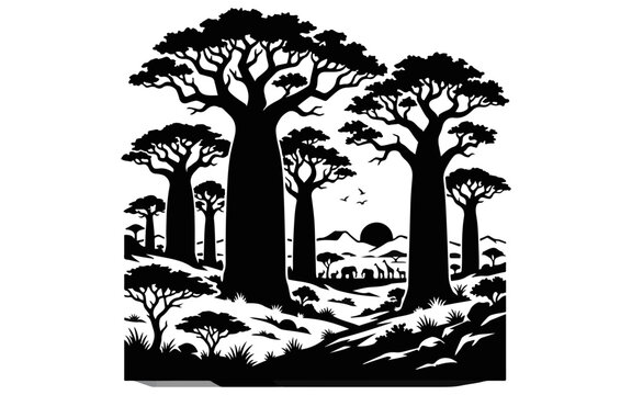 Silhouette of Baobab trees in African landscape, tropical nature scenery at sunset with grass. Vector illustration isolated on White Background