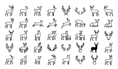 Obraz premium Set of hand drawn deer vector illustrations in black outline on white background with wildlife handdrawn illustration collection isolated woodland quadruped standing silhouette