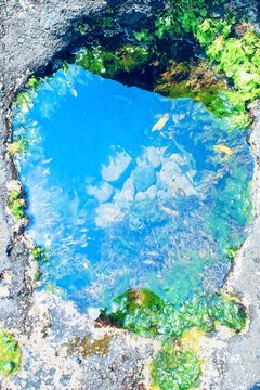 Top down view of a clear ocean tidal pool filled with green seaweed and small stones embedded in coastal volcanic rock at Pura Tanah Lot, Bali, Indonesia. Ideal for nature and eco themes.