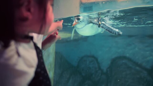 Mother and young daughter pointing at swimming penguin through aquarium glass, family learning and wildlife discovery experience