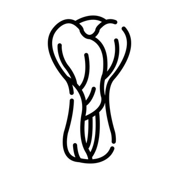 Bok choy icon