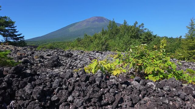 山と溶岩流が見える風景。